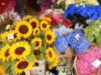 Tallinn Blumenmarkt