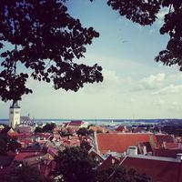 Tallinn Panorama