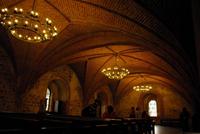 Trakai_Burg (4)