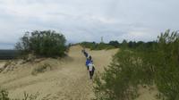 Und weiter geht´s