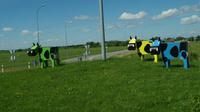 Unterwegs in Lettland