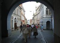 Vilnus