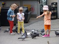 Vogelfreunde