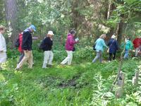 Wandergruppe