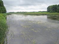 am Fluss Lielupe 