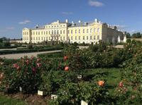 der Rosengarten