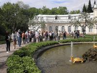im Peterhof