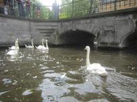 Brügge, Grachtenrundfahrt