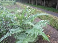 Gärten von Annevoie