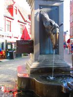 Pferdetränke in Brügge