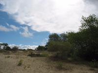 Dünenlandschaft