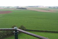 Blick vom Löwenhügel