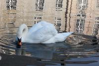 Schloss von Annevoie