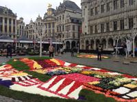 Blumen, Obst und Gemüse auf dem Markt