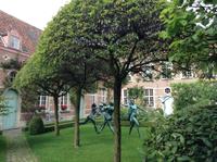 Interessantes in der Altstadt von Mechelen