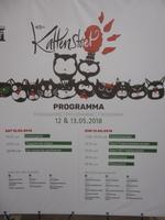 Ypern, Volksfest Katzenwerfen