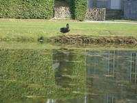 Gärten von Annevoie