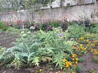 Gemüsegarten in Annevoie