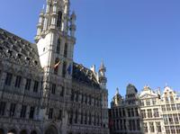 das Brüsseler Rathaus