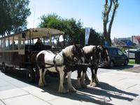 Kutschfahrt in Middelkerke