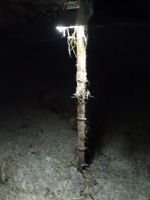 Grotte Han sur Lese, Zeichen der Flut