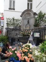 ... aber trotzdem im Blumenschmuck