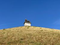 Tag 4 - Löwenhügel