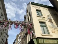 Tag 6 - Malerische Gassen in Brüssel 