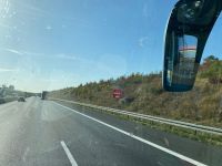 Die Autobahn der Bäume