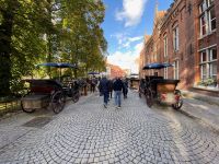 Kutschen gibt es auch!