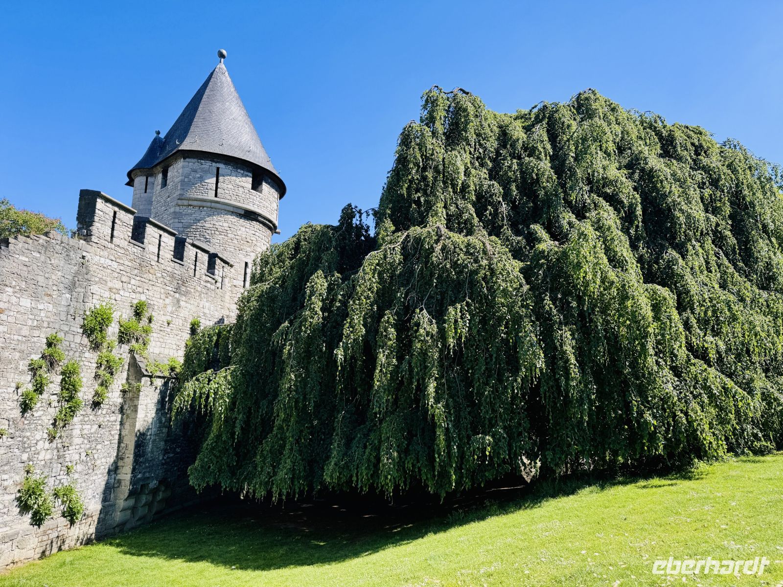 Tag 7 - Father Vinck Tower, Maastricht 