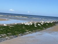 Strand, MIddelkerke