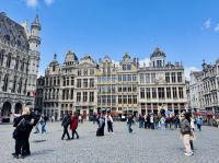 3. Tag - Grote Markt, Brüssel &ndash; &copy; Christin Kuschka (Eberhardt TRAVEL)
