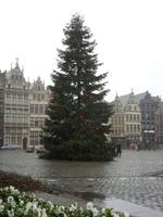 Tag 3 - 2 - Grote Markt von Antwerpen mit Rathaus und GildehÃ€usern (2)