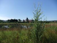 Chateau Lavaux-Ste.-Anne