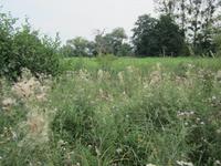 Le chateau de lavaux sainte anne