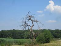 Wasserschloss-Lavaux-Sainte-Anne