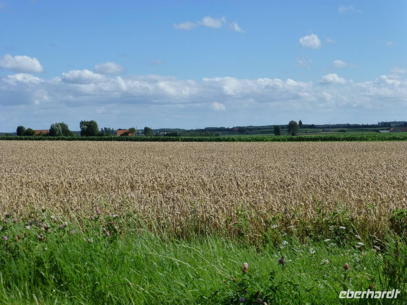 Radtour durch die Flandern Fields