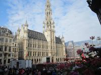 Stadtführung in Brüssel-Grand Place