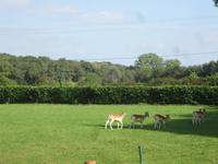 Schloss Le Chateau de Lavaux-Sainte-Anne