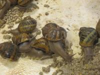 Unsere besondere Überraschung