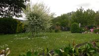 Amiens (10)