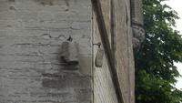Damme (4)