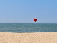 Tag 4 - Oostende 