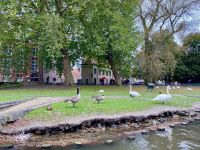 Wasservogelparadies