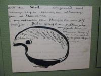 Farbpalette Van Gogh, Van Gogh Museum Amsterdam