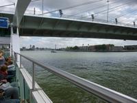 Rotterdam, Erasmusbrücke