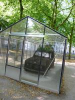 Den Haag, Auto im Gewächshaus
