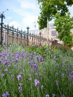 Amsterdam Rijksmuseum