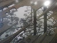 Den Haag, Eschermuseum